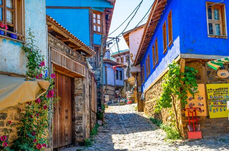 5 Ekim Pazar Bursa Mudanya Turu